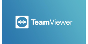 TeamViewer 15, Premium, 1 rok