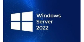 FUJITSU Windows 2022 - WINSVR CAL 1 User - pro všechny systémy a výrobce - OEM