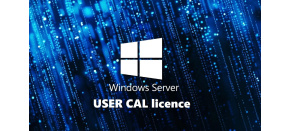 FUJITSU Windows 2025 - WINSVR CAL 5 User