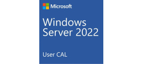 DELL_CAL Microsoft_WS_2022/2019_10CALs_User (STD or DC)