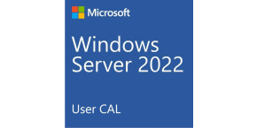 DELL_CAL Microsoft_WS_2022/2019_10CALs_User (STD or DC)