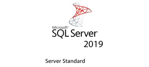 MS CSP SQL Server 2022 Standard Edition