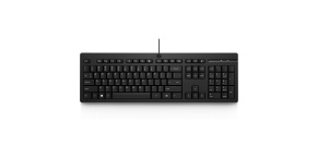 HP 125 Wired Keyboard - Anglická