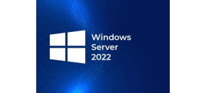 HPE Windows Server 2022 CAL 1 User