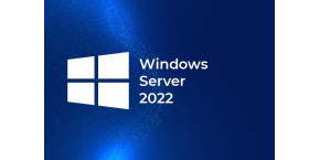 HPE Windows Server 2022 CAL 10 User