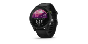 Garmin GPS sportovní hodinky Forerunner® 255 Music, Black, EU