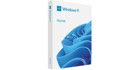 Windows Home 11 64-bit Czech USB