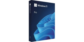 Windows Pro 11 64-bit Eng USB