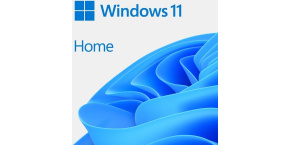 Windows 11 Home 64Bit CZ OEM