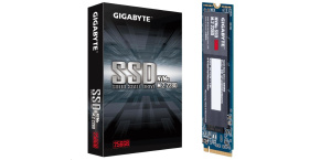 GIGABYTE SSD 256GB M.2