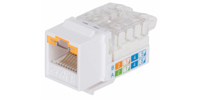 Intellinet Locking Cat6 Keystone Jack, UTP, Toolless, Locking Function, White