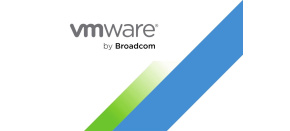 VMware vSAN 8 - 1-Year Prepaid Commit Add-on for VMware vSphere Foundation and VMware Cloud Foundation - Per TiB