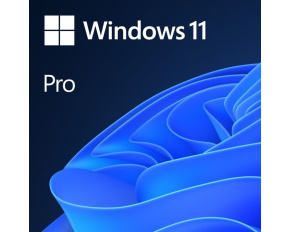 Windows 11 Pro 64Bit CZ OEM