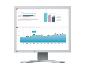 EIZO MT 19" S1934 FlexScan, IPS, 1280x1024, 250nit, 1000:1, 14ms, DisplayPort, DVI-D, D-sub, Repro, Světle šedý