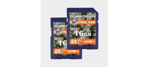 Delkin SDHC Trail Cam R100/W30 (V10) 16GB (2-pack)