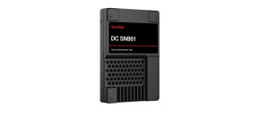 SanDisk Enterprise SSD 7.68TB DC SN861, PCIe Gen5, (R:13700, W:7500MB/s), RI-1DW/D BICS6 TCG Opal