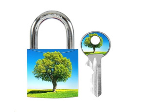 Master Lock 3430EURDAST_tree visací zámek z pevného hliníku