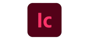 InCopy for teams MP ENG EDU RNW Named, 12 Months, Level 2, 10 - 49 Lic