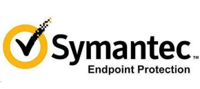 Endpoint Protection, Initial Software Main., 250-499 DEV 1 YR