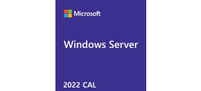 Windows Server CAL 2022 CZ 5 Clt User CAL OEM