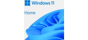 Windows 11 Home 64Bit ENG OEM