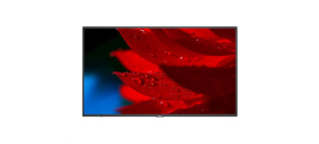 SHARP/NEC MultiSync® P495,Profesionální public displej, 24/7, 2840x2160, 16:9, DP, USB, HDMI, LAN
