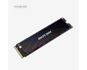 HIKSEMI SSD FUTURE 512GB, M.2 2280, PCIe Gen4x4, R7050/W4200