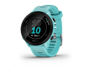 Garmin GPS sportovní hodinky Forerunner 55 Blue, EU