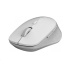 RAPOO myš M300 Silent Wireless Optical Mouse, Multi-mode: 2.4 GHz, Bluetooth 3.0 & 4.0, Grey