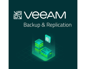 Veeam Backup & Replication Standard per VM  (1VM/1M)