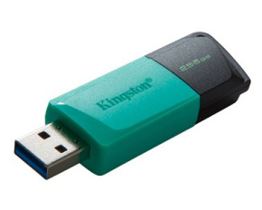 Kingston Flash Disk 256GB USB3.2 Gen 1 DataTraveler Exodia M (Black + Teal)