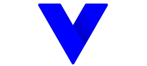 Vivotek VSS Pro Camera License