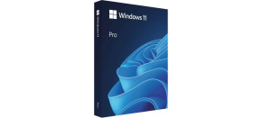 Windows Pro 11 64-bit Czech USB