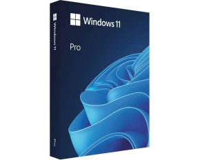 Windows Pro 11 64-bit Czech USB