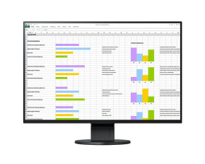 EIZO MT 24" EV2456-BK FlexScan, IPS, 1920x1200, 350nit, 1000:1, 5ms, DisplayPort, HDMI, DVI-D, D-sub, USB, Repro, Černý