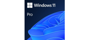 Windows 11 Pro 64Bit SK OEM