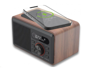 CARNEO W100 Rádio DAB+, FM, BT, Wireless charging, wood