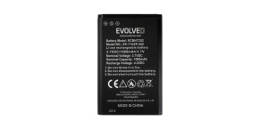 EVOLVEO originální baterie 1000 mAh pro EasyPhone FP,FS