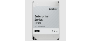 Synology 3,5" HDD HAS5300-12T (NAS) (12TB, SAS, 7200 RPM, 256MB)