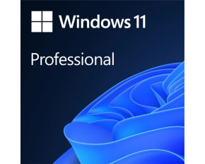 Windows Pro 11 64-BIT ESD