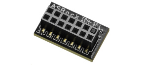 ASRock TPM-SPI