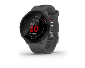 Garmin GPS sportovní hodinky Forerunner 55 Grey, EU