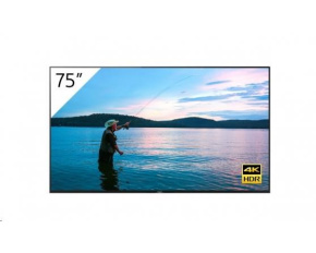 Sony 4K 75" Android Pro BRAVIA with Tuner