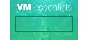 HPE VM Essentials Software per Socket 1-year E-LTU