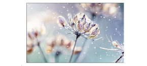 SAMSUNG LFD 46" -LH46VMTUBGBXEN - Video wall