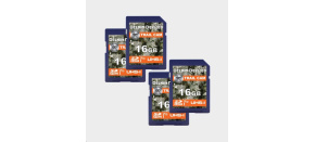 Delkin SDHC Trail Cam R100/W30 (V10) 16GB (4-pack)