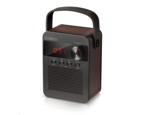 CARNEO F90 FM rádio, bluetooth reproduktor, black/wood