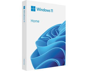 Windows Home 11 64-bit Czech USB